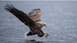 ~ The Power of “Love” ~