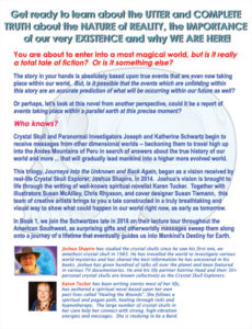 Back Cover of the new novel, Journeys into the Unknown and Back Again by Shapiro & Tucker