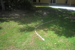 Cairns-May10th-Workshop-11