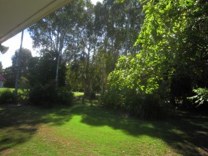Cairns-May10th-Workshop-24