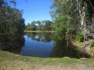 Cairns-May10th-Workshop-27