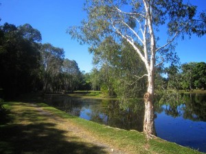 Cairns-May10th-Workshop-28