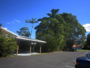 Cairns-May10th-Workshop-30
