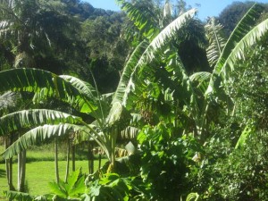 ByronBay-May13-M&K-5