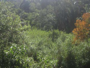 ByronBay-May13-M&K-6