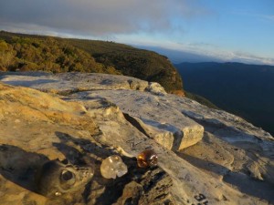 LizPhoto-Skulls-with-view-Blue-Mts  