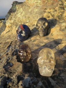 LizPhoto-Skulls-with-view  