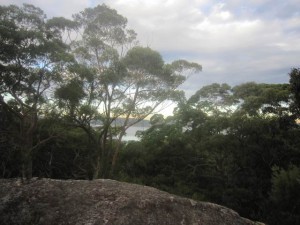 GosfordGlyphs-May19-14