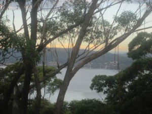 GosfordGlyphs-May19-15