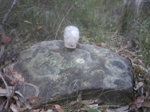 GosfordGlyphs-May19-17