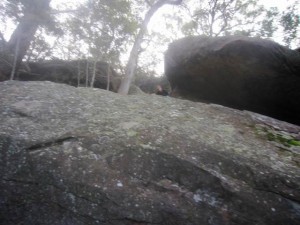 GosfordGlyphs-May19-3
