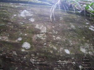 GosfordGlyphs-May19-5
