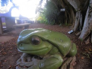 Opaldownunder-outside-1