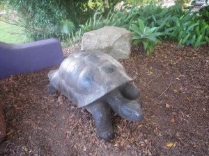 Opaldownunder-outside-7