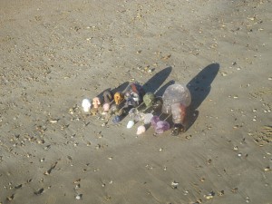 HerveBay-Beach-May7-1